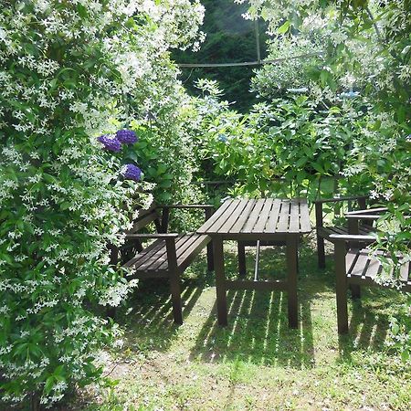 Villa Banana カンノビオ エクステリア 写真